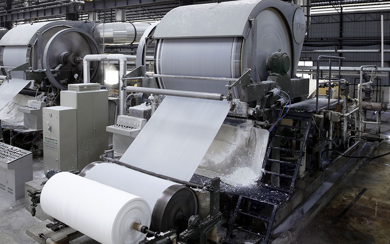 Papel e Celulose